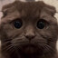 bruhzinga's avatar