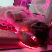 cataleya