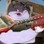 Chungus Danger Zone