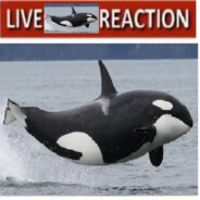 Orca