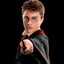 Potter⚡