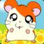 HAMTARO