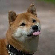 SwampAssShaftMaster's Avatar