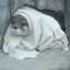 sadotterz