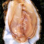 Oyster Ditch