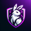 vRabbit