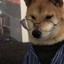 Shibe