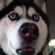 开挂全家死火藏场拒收 - steam id 76561197960522167