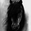 black_horse