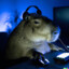 Capybara Gaming #SaveTF2