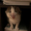 curiosity