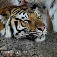 责任很大能力没有