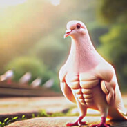 Squizyy - steam id 76561199472317579