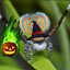 Spidery7