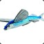 FLYING FISH