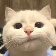 是胖不是虎