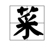 无言Silent Wildfire