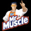 Mr Muscle®