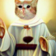 Cat Jesus