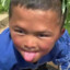 pig Henry