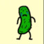 Pickle Boi