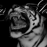 † ₦$ Scarface