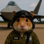 Fighter roVerson | F-22