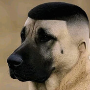 Cimo