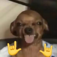 Loi ✪~~~Ɑ͞ ̶͞ ̶͞ ﻝﮞ