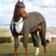 HorseyMI6