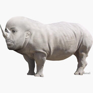 Rhinocerohff