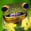Ambrew_Shikardo
