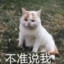 猫扑