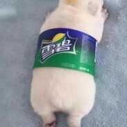 世界亚军胡伯冰