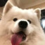 陌路