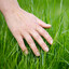 Grass toucher real not fake