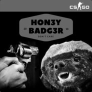 Hon3yBadg3r