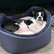 提着40米大刀来了