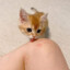 anyvia
