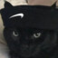 oYboY