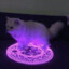 FrostyPillow