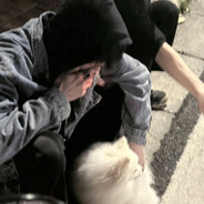 我是新手别骂我