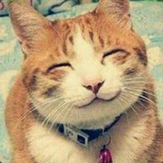 友谊，团队，支援