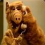 Alf