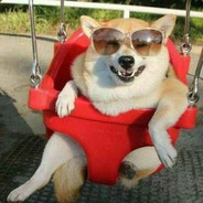 白给树下你和我