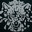 Bird_Brain
