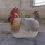 CS2 Chicken