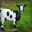 🐐 La chevre de dieux lui meme