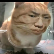 比奇堡第一火猫