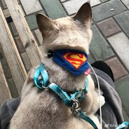 热心市民囊你一下